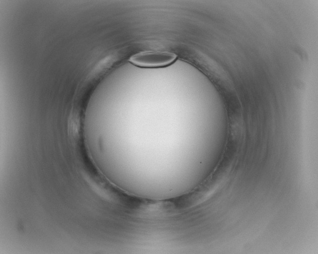 X0000115830072200911271208