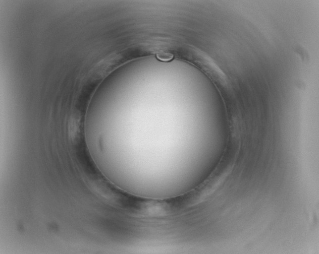 X0000115830073200911271208