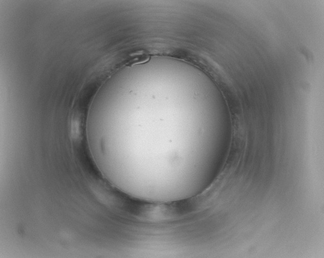 X0000115830074200911271208