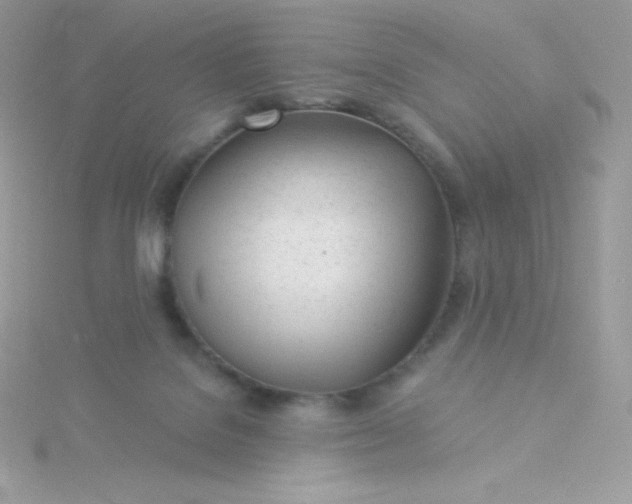 X0000115830076200911271208