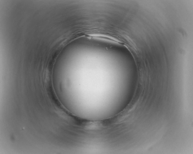 X0000115830077200911271208