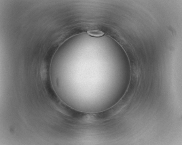 X0000115830080200911271208