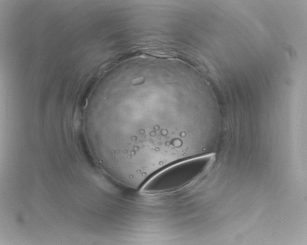 X0000115830081200911271208