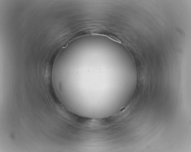 X0000115830082200911271208