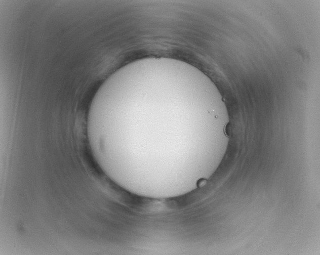 X0000115830083200911271208