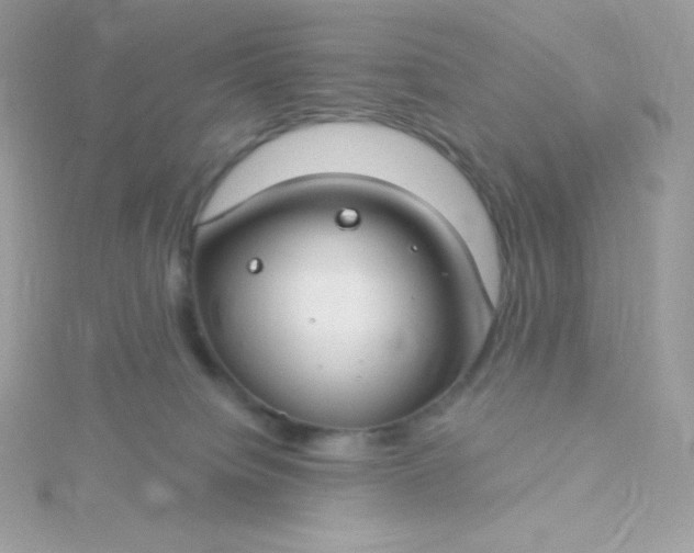 X0000115830084200911271208