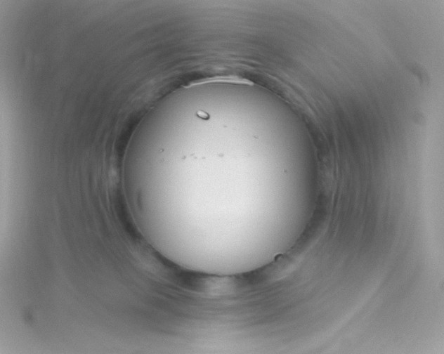 X0000115830085200911271208