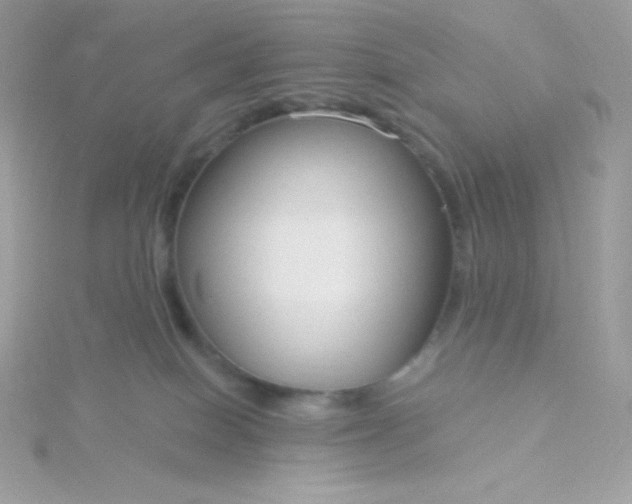 X0000115830086200911271208