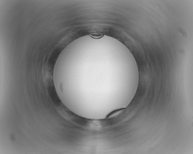 X0000115830091200911271208