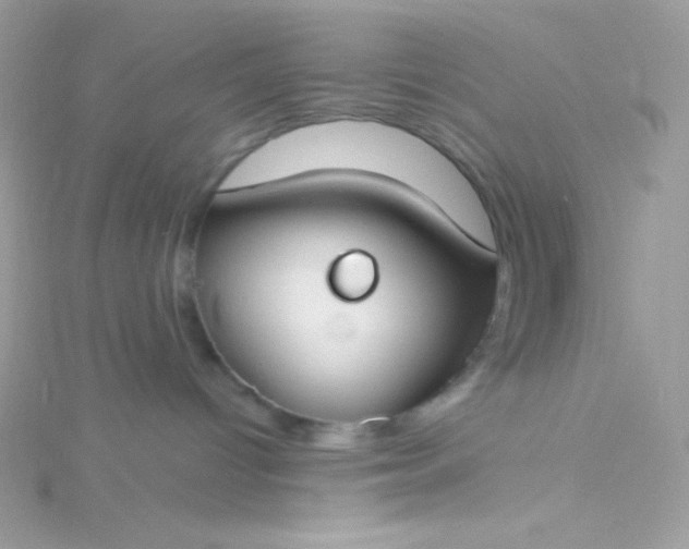 X0000115830096200911271208