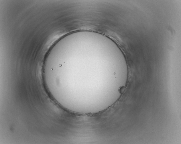 X0000115830098200911271207