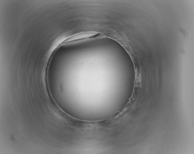 X0000115830099200911271207