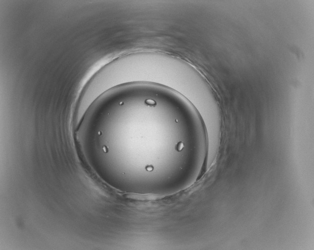 X0000115830100200911271207