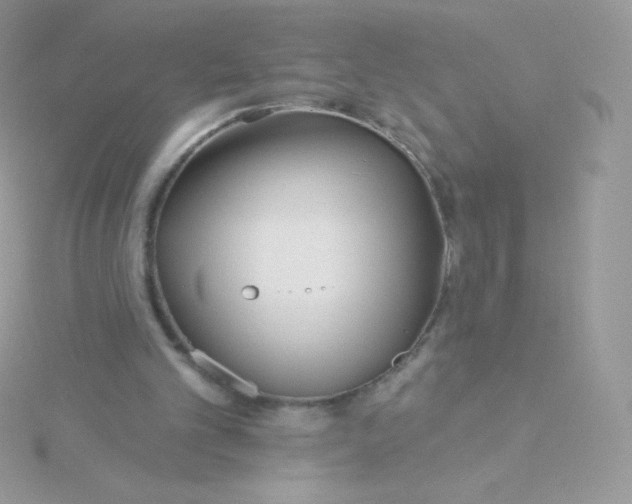 X0000115830101200911271207