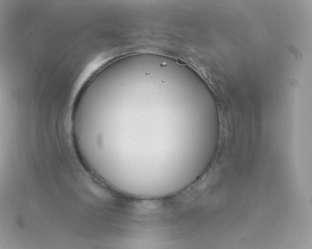 X0000115830102200911271207