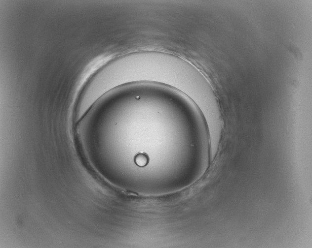 X0000115830104200911271207