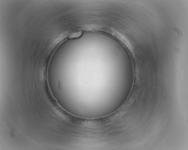 X0000115830105200911271207