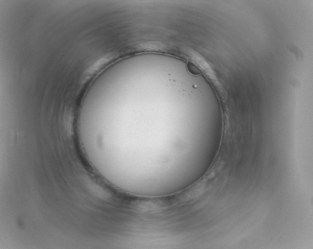 X0000115830106200911271207