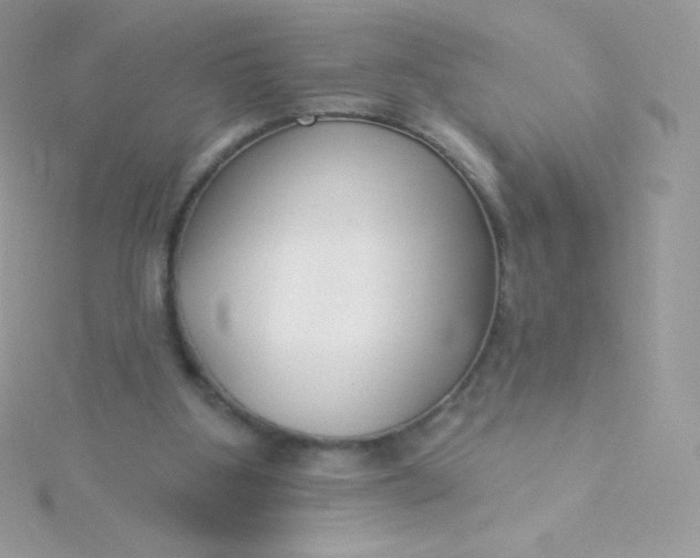 X0000115830107200911271207