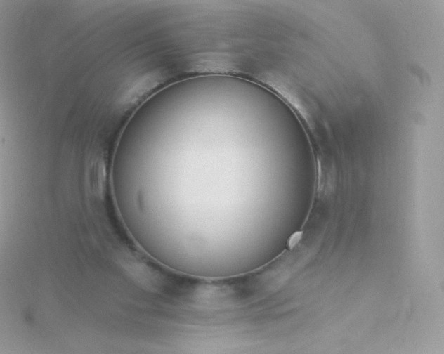 X0000115830109200911271207