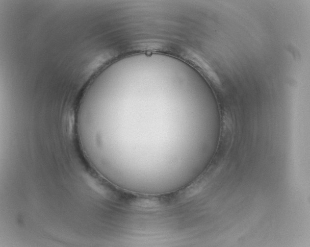 X0000115830110200911271207