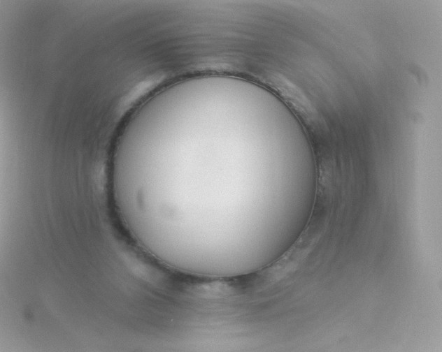 X0000115830112200911271207