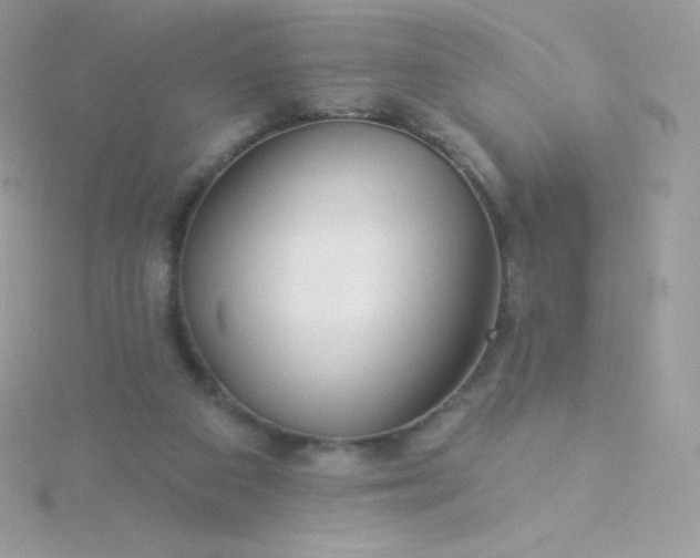 X0000115830113200911271207