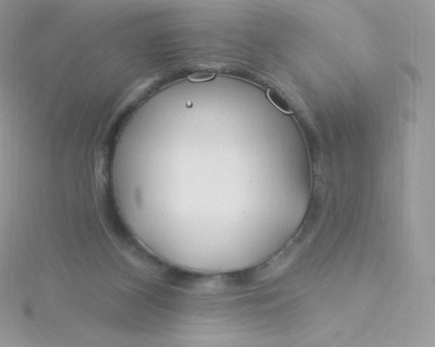 X0000115830116200911271207