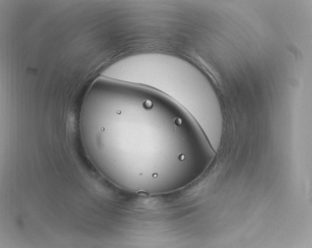 X0000115830117200911271207