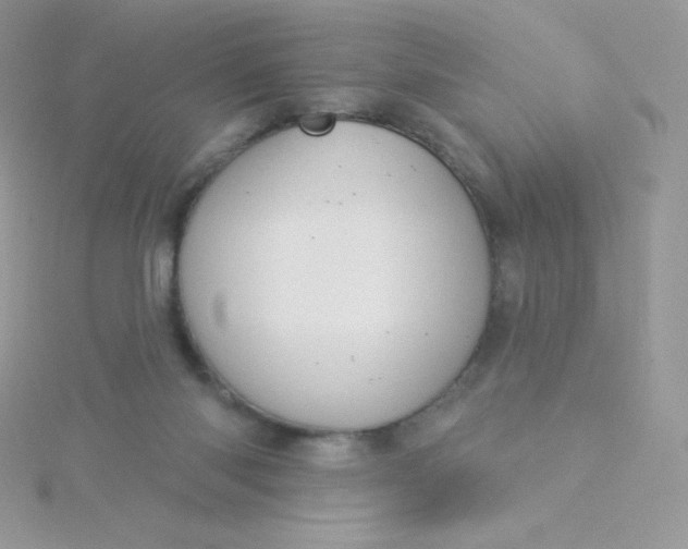 X0000115830118200911271207