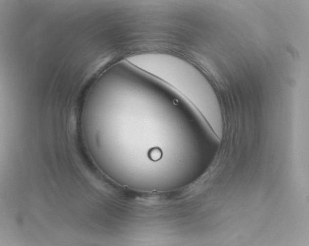 X0000115830120200911271207