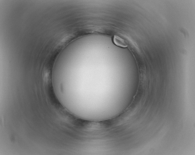 X0000115830123200911271207