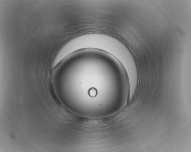 X0000115830129200911271207