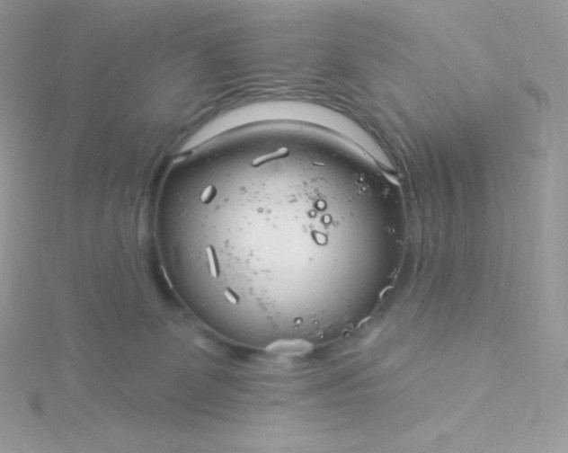 X0000115830131200911271207