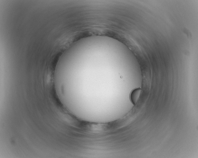 X0000115830134200911271207