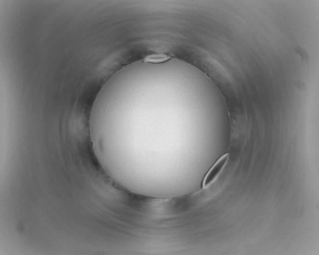 X0000115830136200911271207