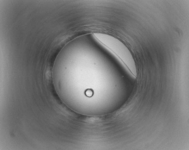 X0000115830137200911271207