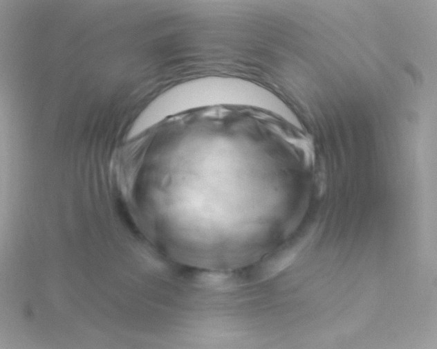 X0000115830139200911271207