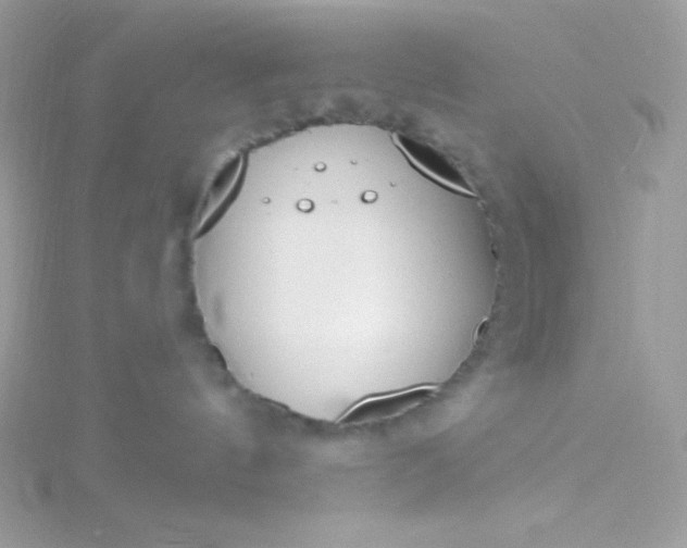 X0000115830144200911271207