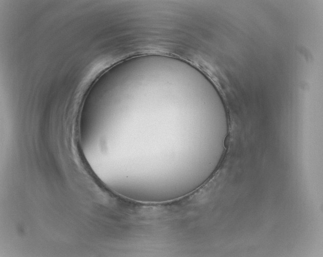 X0000115830145200911271206