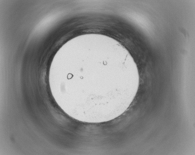 X0000115830146200911271206