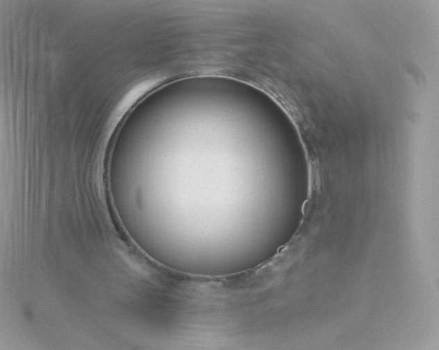 X0000115830147200911271206