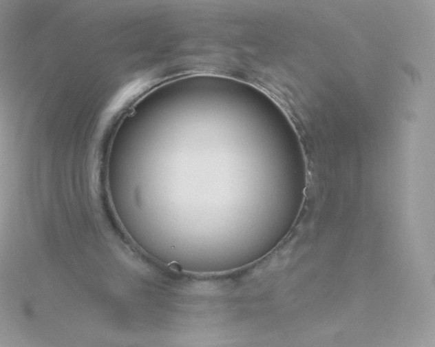 X0000115830149200911271206