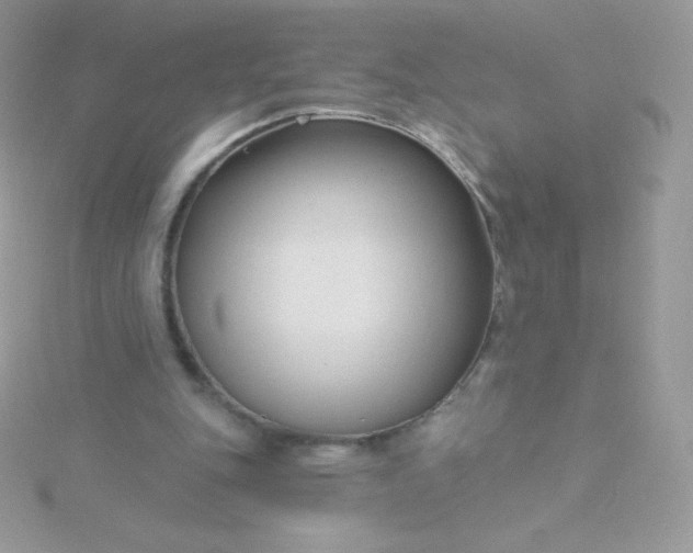 X0000115830151200911271206