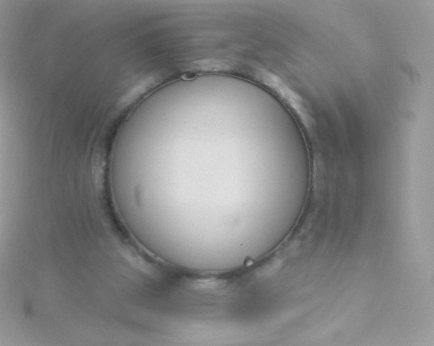 X0000115830153200911271206