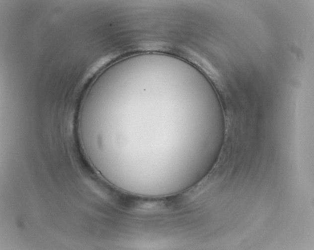 X0000115830155200911271206