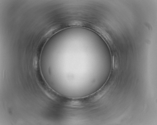 X0000115830157200911271206