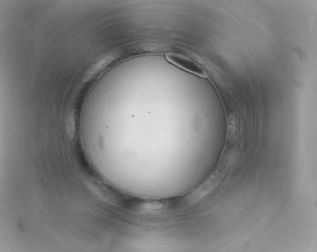 X0000115830158200911271206