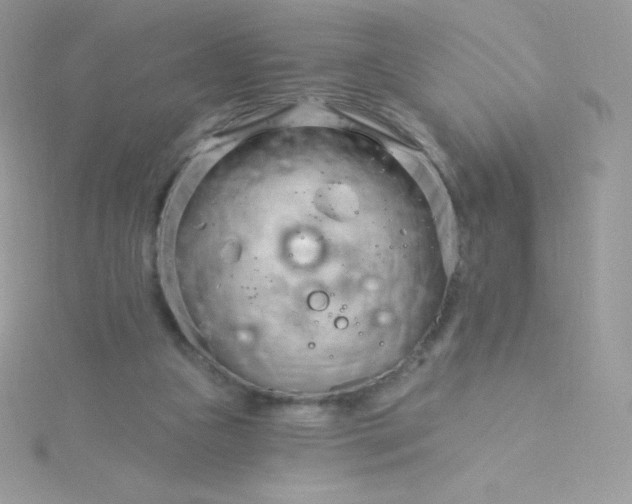 X0000115830161200911271206