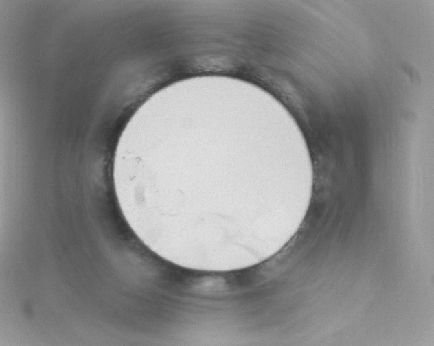 X0000115830162200911271206